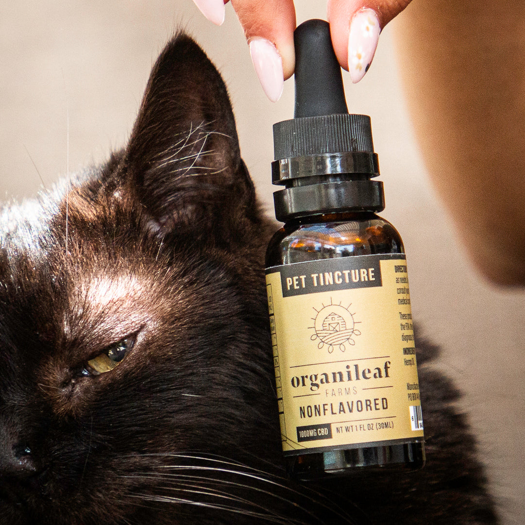 CBD Pet Tincture