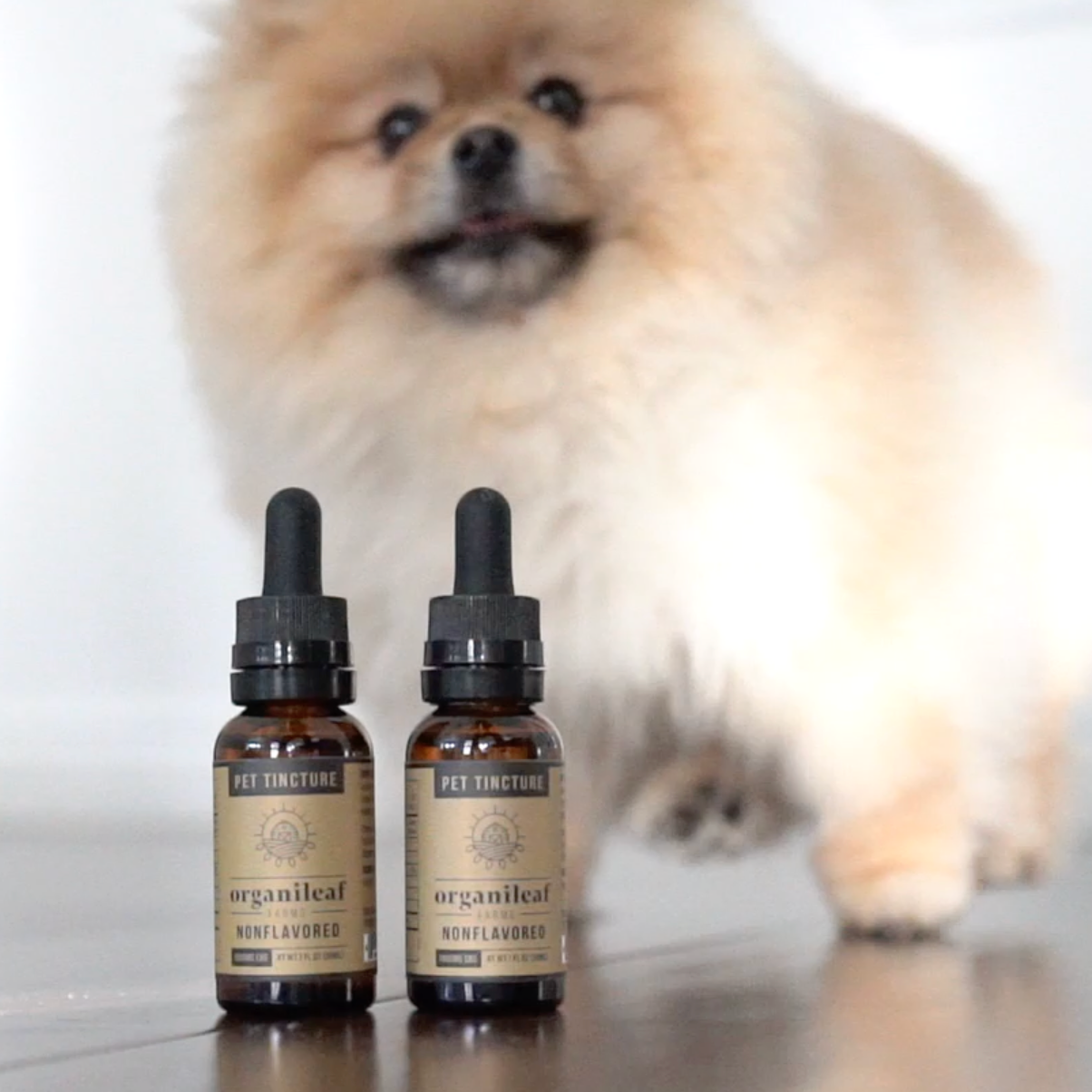CBD Pet Tincture